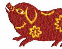 Year of the Pig: characteristics of a man